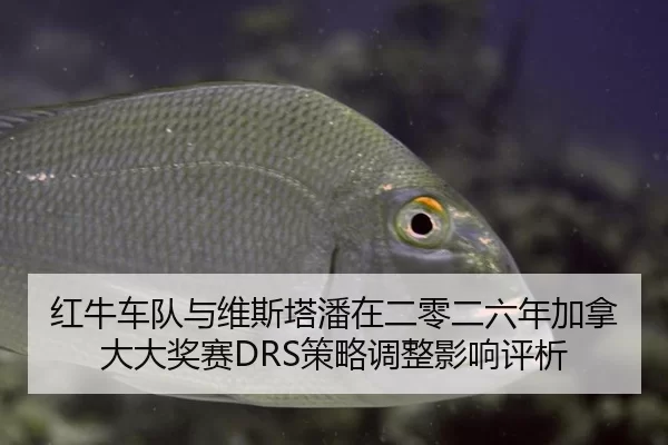 hong-niu-che-dui-yu-wei-si-ta-pan-zai-er-ling-er-liu-nian-jia-na-da-da-jiang-sai-ce-lve-tiao-zheng-ying-xiang-ping-xi-2-373.jpg